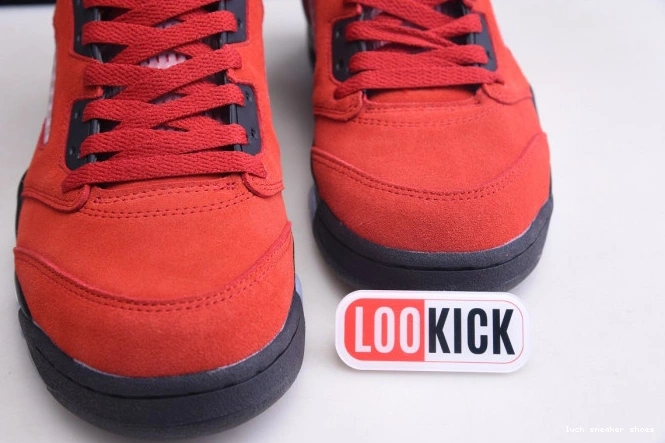 Cheap LUCY DD0587-600 Raging Red (2021) Bulls 5 Retro Jordan 0821